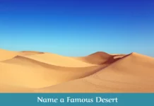 Name a Famous Desert: Fun Feud Trivia (Answers) Name a Famous Desert