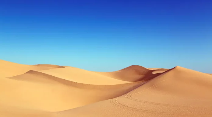 Name a Famous Desert: Fun Feud Trivia (Answers) Name a Famous Desert