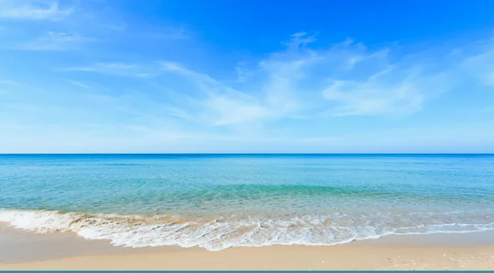 Name a US City on The Ocean: Fun Feud Trivia Answers Name a US City on The Ocean