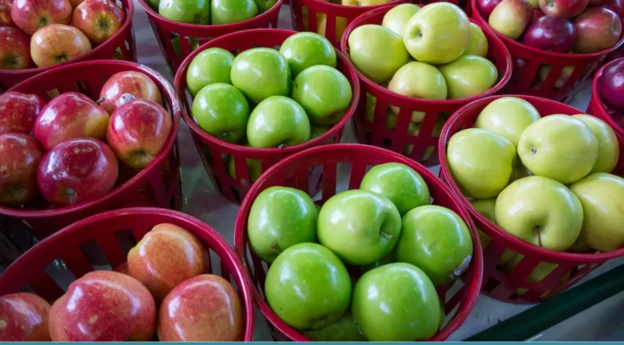 Top 7 Apple Varieties (Answer) Top 7 Apple Varieties