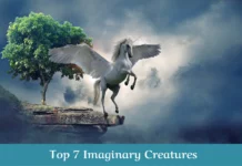 Top 7 Imaginary Creatures (Answer) Top 7 Imaginary Creatures