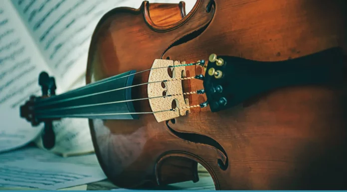 Top 7 String Instruments (Answer) Top 7 String Instruments