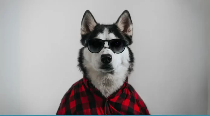 Top 7 Synonyms of Cool (Answer) Top 7 Synonyms of Cool