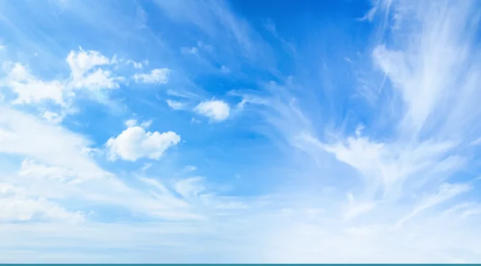 Top 7 Things That Are Blue (Answers) Top 7 Things That Are Blue