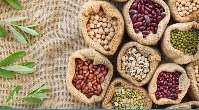 Top 7 Types of Beans (Answer) Types of Beans