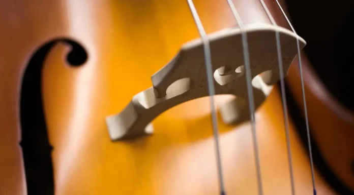 Mastering the Art of Upright Bass: A Beginner’s Guide Bass