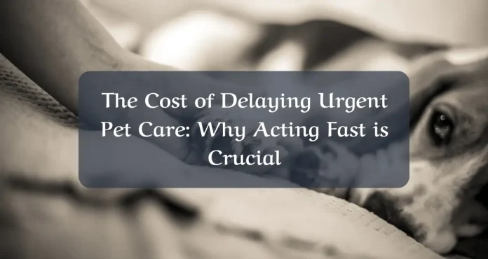 The-Cost-of-Delaying-Urgent-Pet-Care-Why-Acting-Fast-is-Crucial