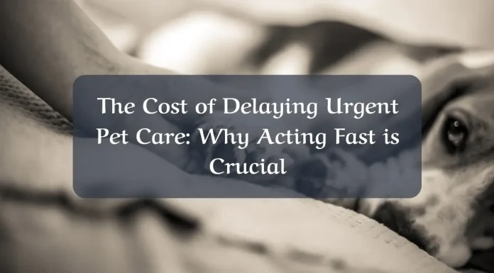 The Cost of Delaying Urgent Pet Care: Why Acting Fast is Crucial The-Cost-of-Delaying-Urgent-Pet-Care-Why-Acting-Fast-is-Crucial
