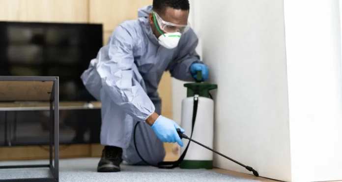 24-Hour Pest Control Services