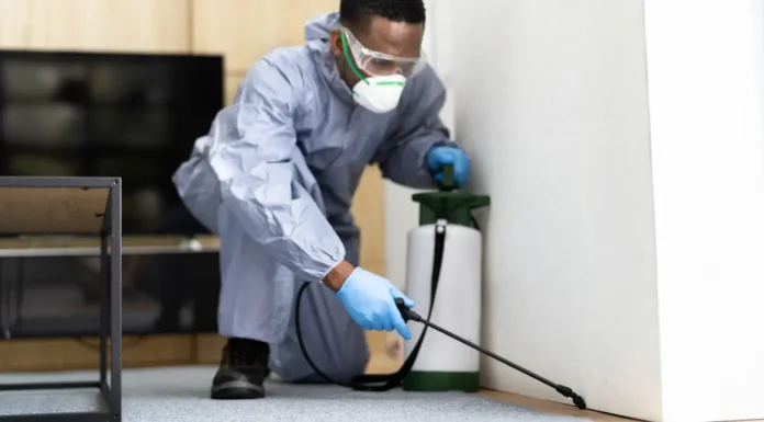 The Most Common Pests That Require 24-Hour Pest Control Services 24-Hour Pest Control Services