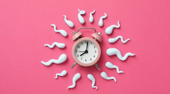 How does ovulation impact fertility? When does a woman stop ovulating? How Does Ovulation Impact Fertility