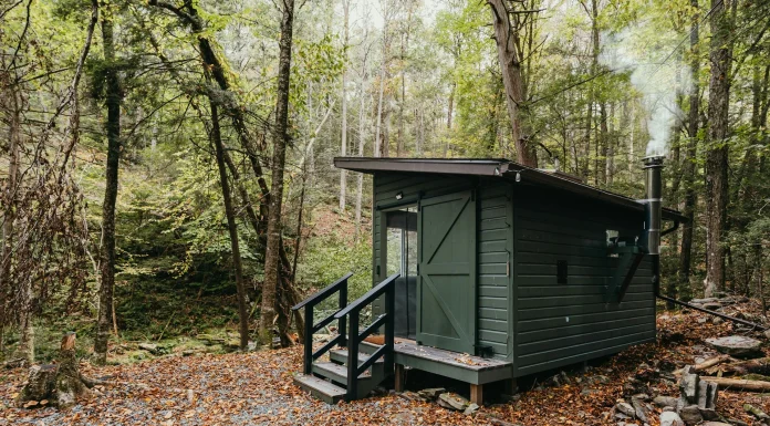 The Growing Market for Saunas and What It Means for Entrepreneurs