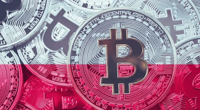 The Critical Need Business Has For Cryptocurrency License in Poland Bitcoin