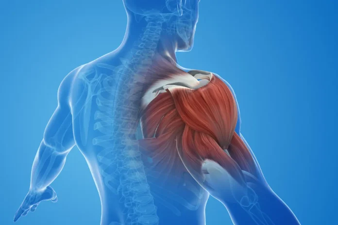 Understanding Tingling in Shoulder Blade Symptoms and Treatment