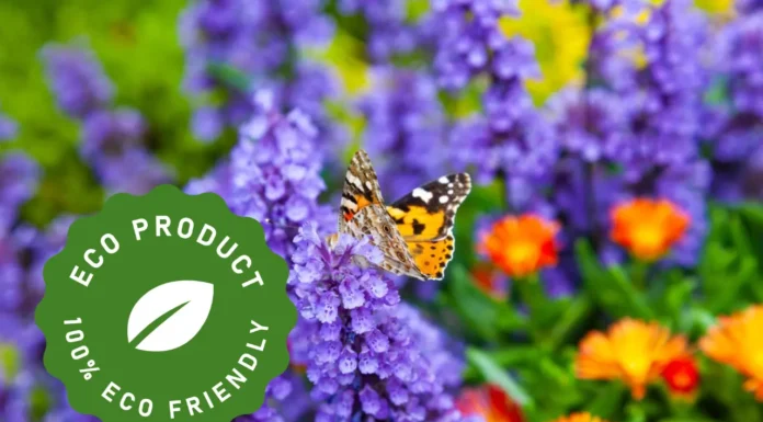 Sustainable Ideas to Create an Eco-Friendly Garden Eco-Friendly Garden