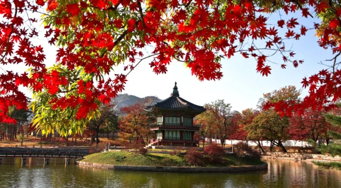 Taean Office: Coastal Serenity & Living in Harmony with Nature Taean Office